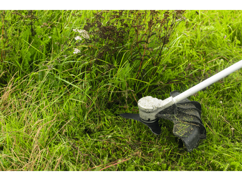 PRO Komplet rezil Bosch kosilnice za podrast, 3T, F016800663